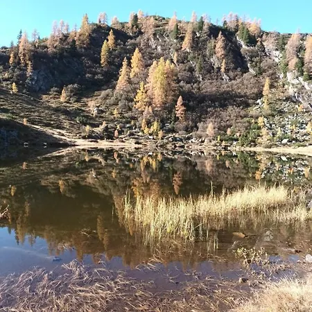 Himmlisch Urlauben In Pichl Lägenhet